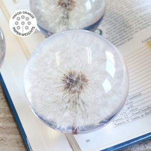 ハフォドグレンジHafodGrange 花文鎮フラワーペーパーウエイト L セイヨウタンポポ(蒲公英) HG01L【動画】【送料無料】