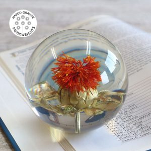 ハフォドグレンジHafodGrange 花文鎮フラワーペーパーウエイト L サフラワー(ベニバナ) HG08L【動画】【送料無料】