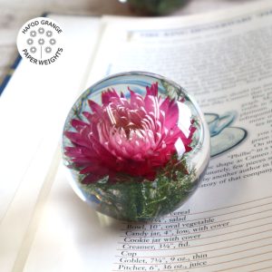 ハフォドグレンジHafodGrange 花文鎮フラワーペーパーウエイト S ヘリクリサム(帝王貝細工)パープル HG17PS【動画】